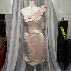 Bari Jay Dress size 12 brand new with tags